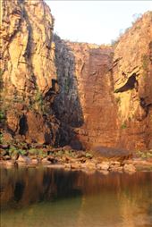 by kiwiaoraki, Views[144]