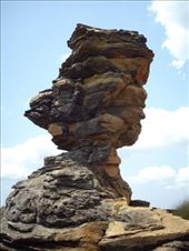 by kiwiaoraki, Views[440]