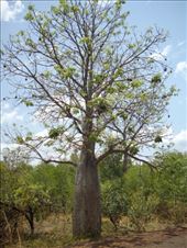 by kiwiaoraki, Views[441]