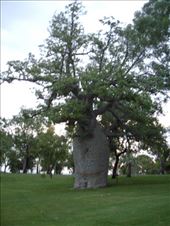 by kiwiaoraki, Views[193]