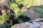 by kiwiaoraki, Views[102]