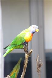 by kiwiaoraki, Views[185]