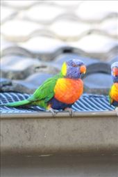 by kiwiaoraki, Views[209]