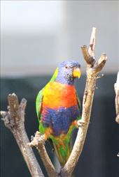 by kiwiaoraki, Views[201]