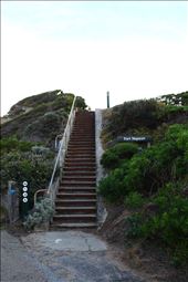 by kiwiaoraki, Views[446]