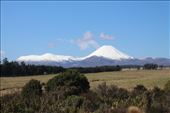 by kiwiaoraki, Views[411]