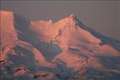 by kiwiaoraki, Views[440]