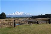 by kiwiaoraki, Views[453]