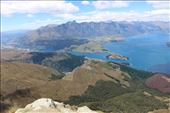 by kiwiaoraki, Views[298]