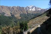 by kiwiaoraki, Views[431]