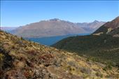 by kiwiaoraki, Views[400]