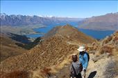 by kiwiaoraki, Views[345]