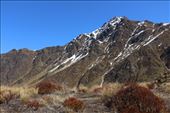 by kiwiaoraki, Views[387]