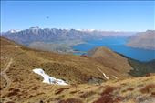 by kiwiaoraki, Views[396]