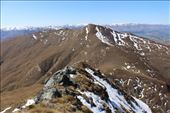 by kiwiaoraki, Views[408]