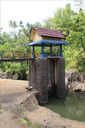 by kiwiaoraki, Views[444]