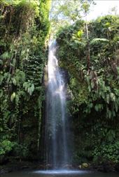 by kiwiaoraki, Views[444]