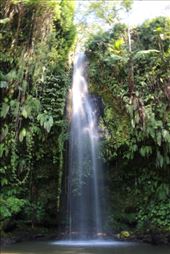 by kiwiaoraki, Views[457]