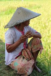 by kiwiaoraki, Views[188]