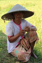 by kiwiaoraki, Views[199]