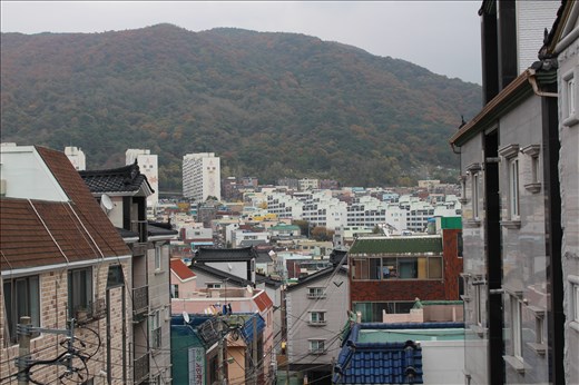 View from Carlsen's flat