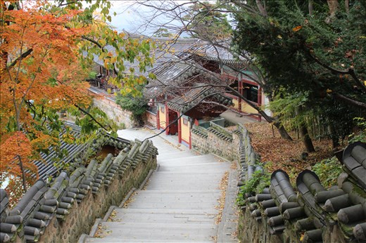 Lovely walkway with colours of autumn