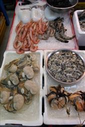 by kiwiaoraki, Views[305]