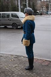 by kiwiaoraki, Views[186]