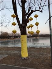 by kiwiaoraki, Views[132]