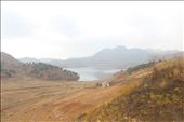 by kiwiaoraki, Views[383]