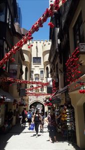 by kiwiaoraki, Views[106]