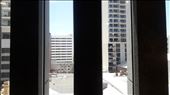 by kiwiaoraki, Views[88]