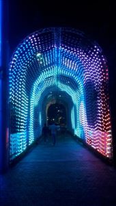 by kiwiaoraki, Views[83]