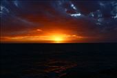by kiwiaoraki, Views[446]