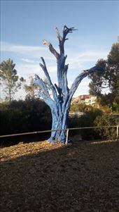 by kiwiaoraki, Views[215]