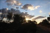by kiwiaoraki, Views[363]
