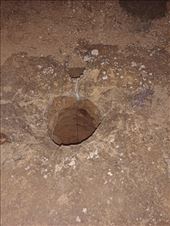 by kiwiaoraki, Views[98]