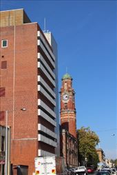 by kiwiaoraki, Views[406]