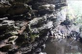 by kiwiaoraki, Views[425]