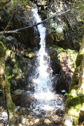 by kiwiaoraki, Views[381]