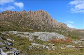 by kiwiaoraki, Views[381]
