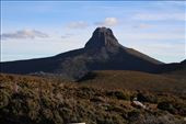 by kiwiaoraki, Views[444]