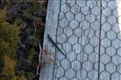 by kiwiaoraki, Views[133]