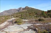 by kiwiaoraki, Views[158]