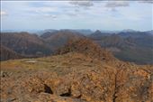 by kiwiaoraki, Views[159]