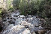 by kiwiaoraki, Views[541]