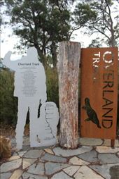 by kiwiaoraki, Views[634]