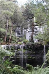 by kiwiaoraki, Views[409]