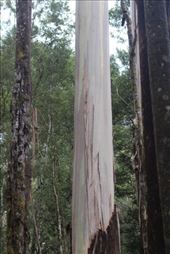 by kiwiaoraki, Views[660]