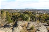 by kiwiaoraki, Views[469]